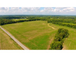 TRACT 19 - ILLINOIS LAND AUCTION - 4,810+/- ACRES OFFERED IN 85 TRACTS IN FRANKLIN, WILLIAMSON, HAMILTON & SALINE COUNTIES, ILLINOIS